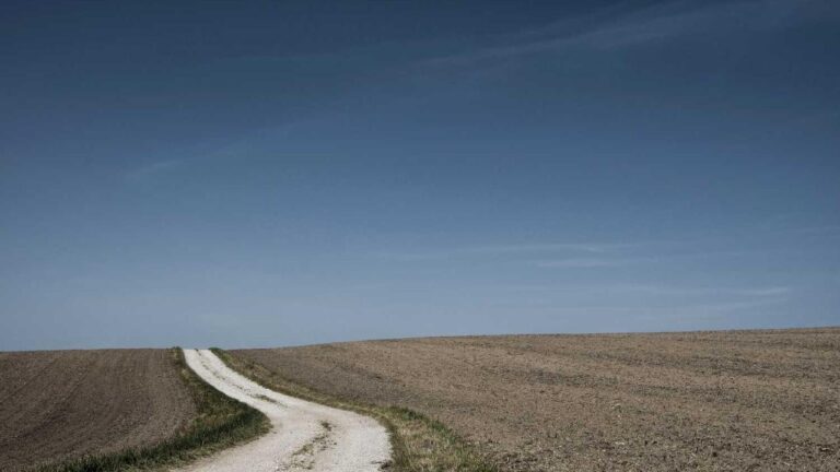 How Do I Complete The 99Exch Id Login Process Securely?